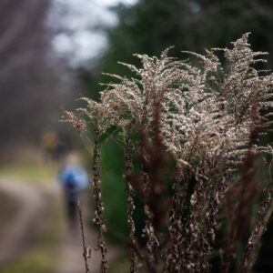 III pakopos pensijų fondai: ar verta sudaryti sutartį dabar?
